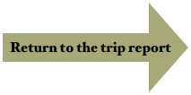 Return to the trip report