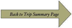 Back to Trip Summary Page