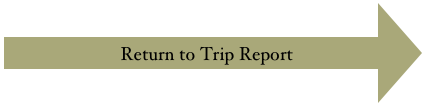 Return to Trip Report