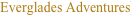 shapeimage_1_link_0